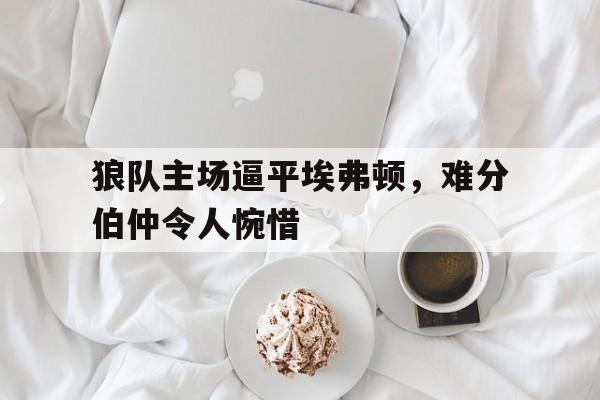 开云体育-英超狼队对埃弗顿